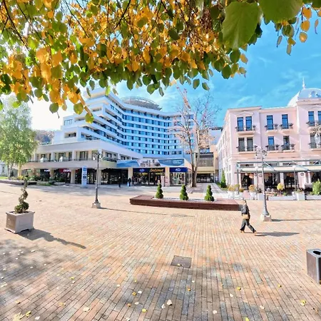 Zepterme 408 Appartement *